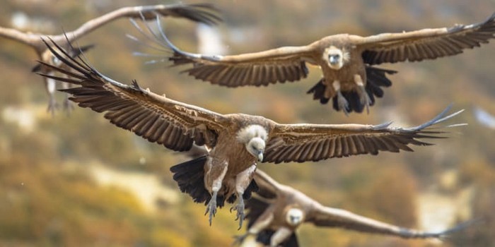 Source: Shutterstock.com/ Rudmer Zwerver