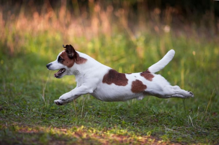 Source: Shutterstock.com/OlesyaNickolaeva