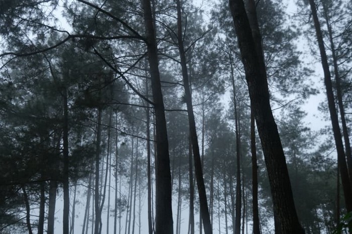 Source: Shutterstock.com/Ika Hilal
