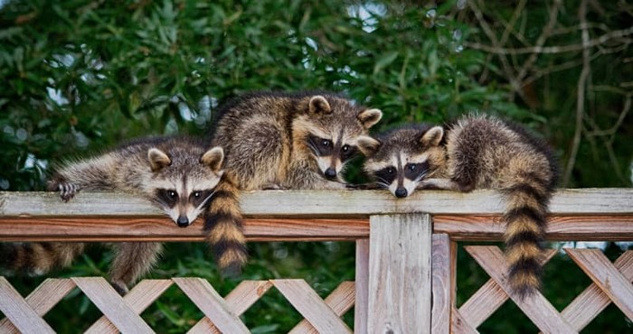 Source: Shutterstock.com/ photographybyjw